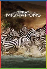 Great Migrations 1080p İndir