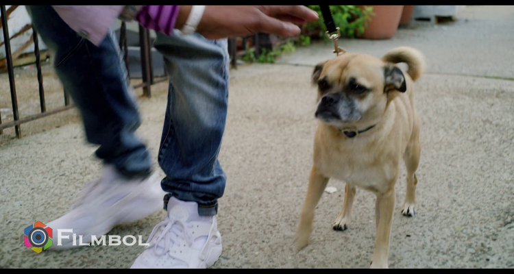 It's Bruno! İndir
