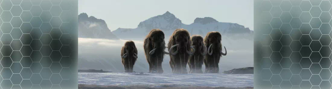 Gezegenimizde Yaşam 4K İndir