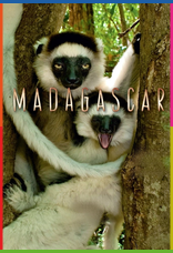Madagascar 1080p İndir