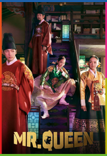 Mr. Queen 1080p İndir