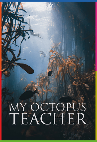 Ahtapottan Öğrendiklerim İndir