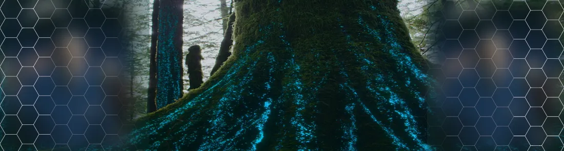 Hayat Dolu Dünyamız 1080p İndir