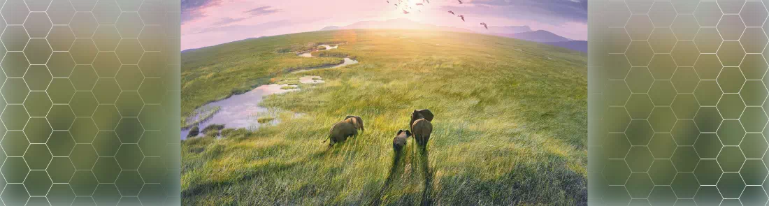 Yeryüzü 3 4K İndir