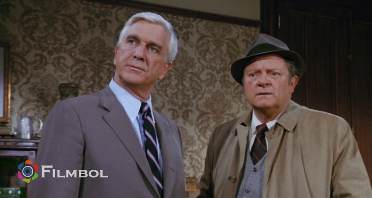 Police Squad! İndir