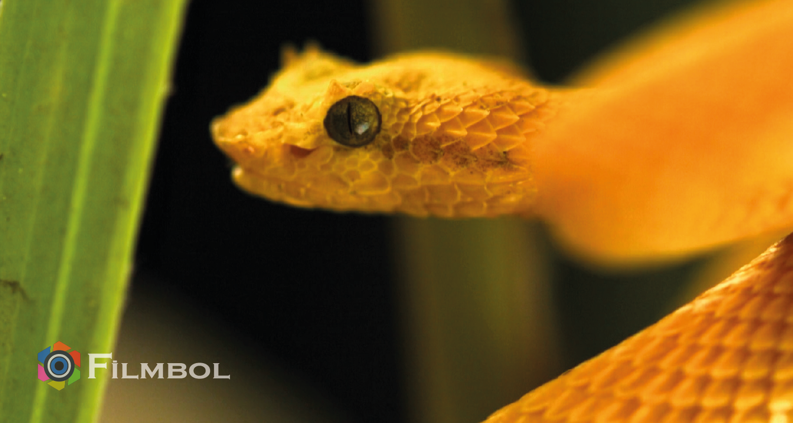 Hayatın Hızı İndir