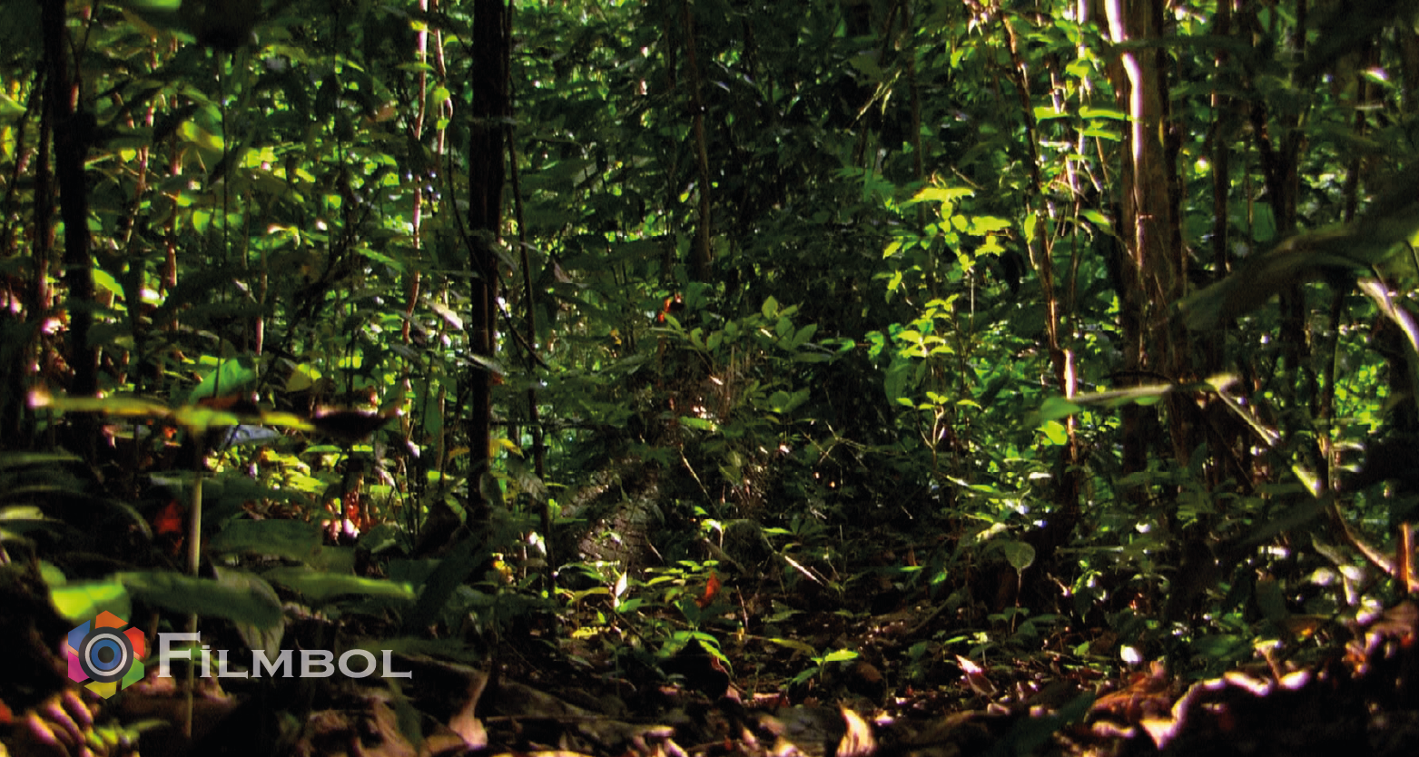 Hayatın Hızı İndir