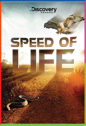 Hayatın Hızı 1080p İndir