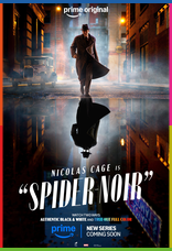 Spider-Noir 4K Dual İndir