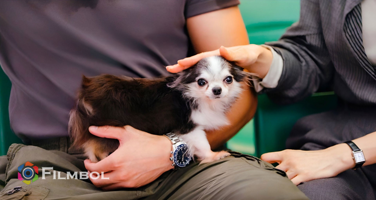 Bahar Esintisi İndir