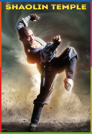 Shaolin Temple İndir