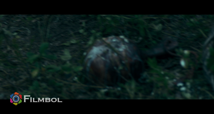 To Cook a Bear İndir