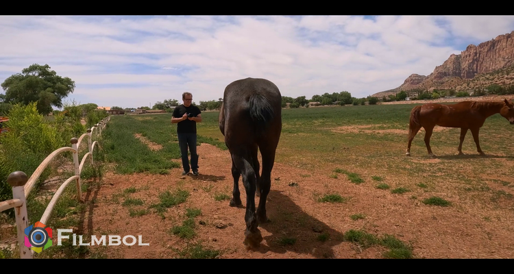 Trust Me: The False Prophet İndir