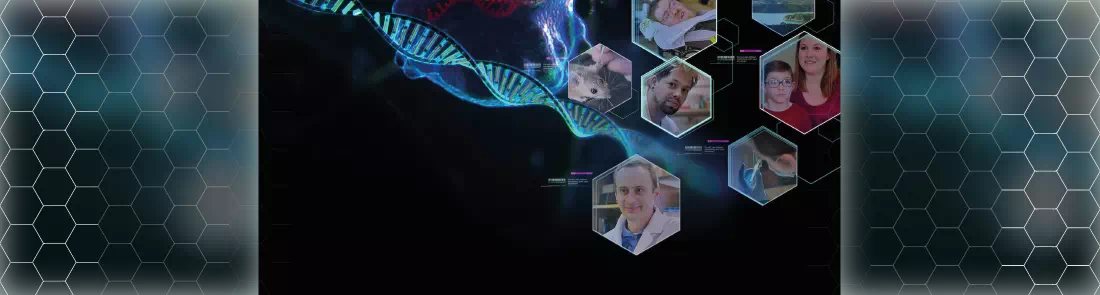 Doğal Olmayan Seçilim 1080p İndir