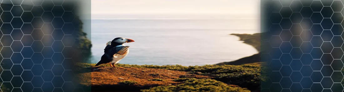 Vahşi adalar 1080p İndir