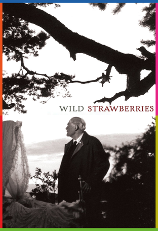 Yaban Çilekleri İndir