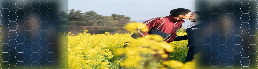 When Life Gives You Tangerines 1080p İndir